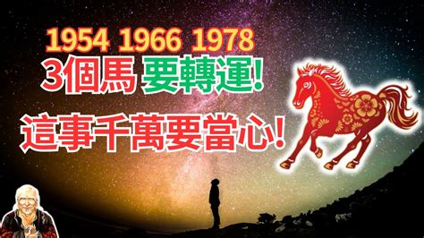 1978屬馬|1978年屬馬是什麼命，1978年出生人的命運